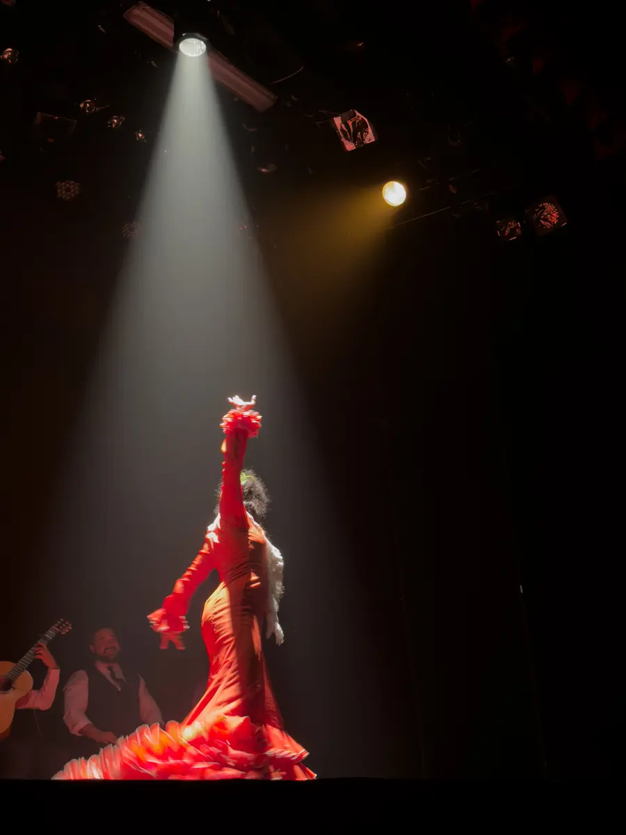A flamenco dancer under the spotlight